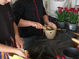 50048208011671284285484374604454796989155896n